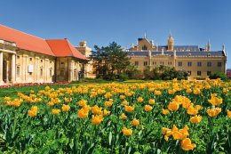 © Bertl123- shutterstock.com/2013