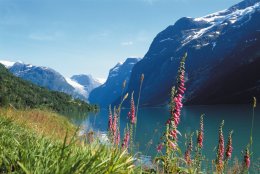 © Destination Stryn & Nordfjord