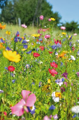 &copy; S.H.exclusiv-fotolia.com