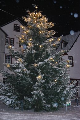 © Stadt Bad Münstereifel