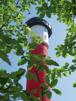 © Holger Luck-fotolia.com