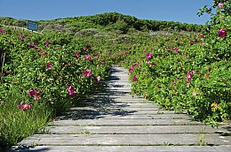 © Holger Luck-fotolia.com