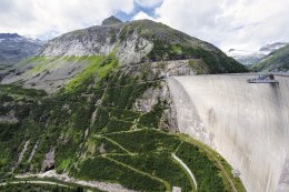 © Sonja Birkelbach-stock.adobe.com