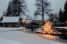 © Bomenius - stock.adobe.com