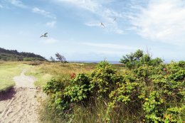 © Gabriele Rohde-stock.adobe.com