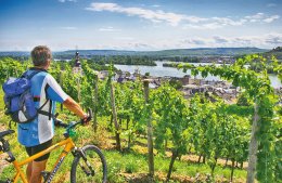 &copy; Rüdesheim Tourist AG