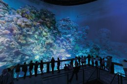 &copy; Tom Schulzetel