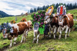 &copy; Wildschönau Tourismus