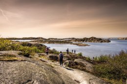 © weixx - stock.adobe.com