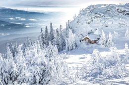 © bietau - stock.adobe.com