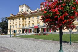 © fine pics - stock.adobe.com