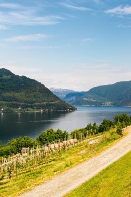 © Depositphotos/Bigandt