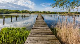© majonit - stock.adobe.com
