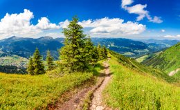 © NatureQualityPicture - stock.adobe.com