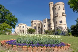 &copy; PMSG SPSG André Stiebitz