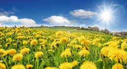 © doris oberfrank-list - stock.adobe.com