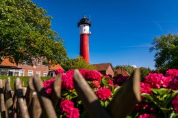 © Kirsches_Fotobox - stock.adobe.com