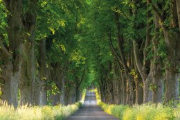 © ferkelraggae - stock.adobe.com