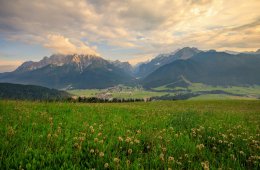 © Maximilian - stock.adobe.com