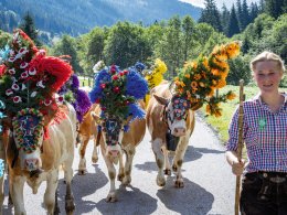&copy; Wildschönau Tourismus H. Dabernig
