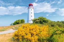 © pkazmierczak - stock.adobe.com