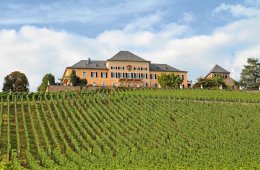 &copy; Kara - stock.adobe.com