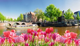 © neirfy - stock.adobe.com