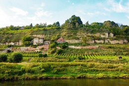 &copy; Stephanie Albert - stock.adobe.com