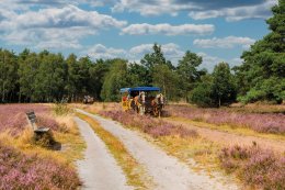 © artfocus - stock.adobe.com