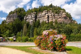 © Comofoto - stock.adobe.com