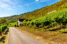 &copy; Oliver Hlavaty - stock.adobe.com
