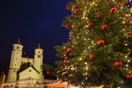 © Tobias Arhelger - stock.adobe.com