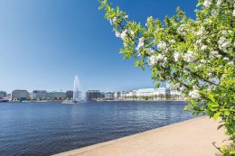 © Calado - stock.adobe.com