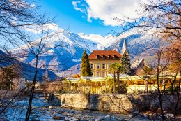 &copy; Olga - stock.adobe.com