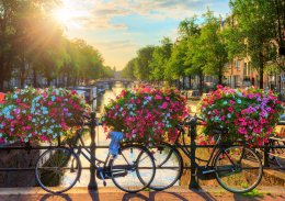 &copy; dennisvdwater - stock.adobe.com