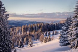&copy; Dennis Wegewijs - stock.adobe.com
