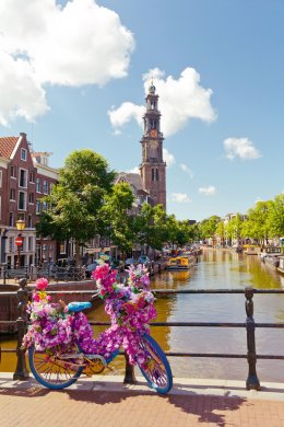 &copy; FSEID - stock.adobe.com