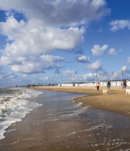 Strandspaziergang in Katwijk aan Zee © NBTC/Dirk van Egmond