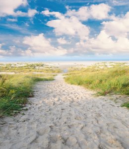 Strand auf Langeoog: endlose Dünen, Meer, Entspannung © doris oberfrank-list - stock.ado