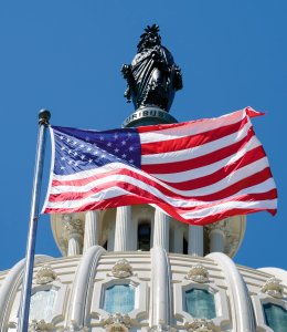 Die US Flagge über dem Capitol © kmiragaya - stock.adobe.com
