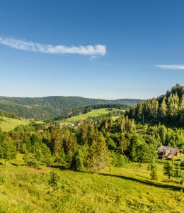 Landschaft im Schwarzwald bei Todtmoos © Conny Pokorny - stock.adobe.com