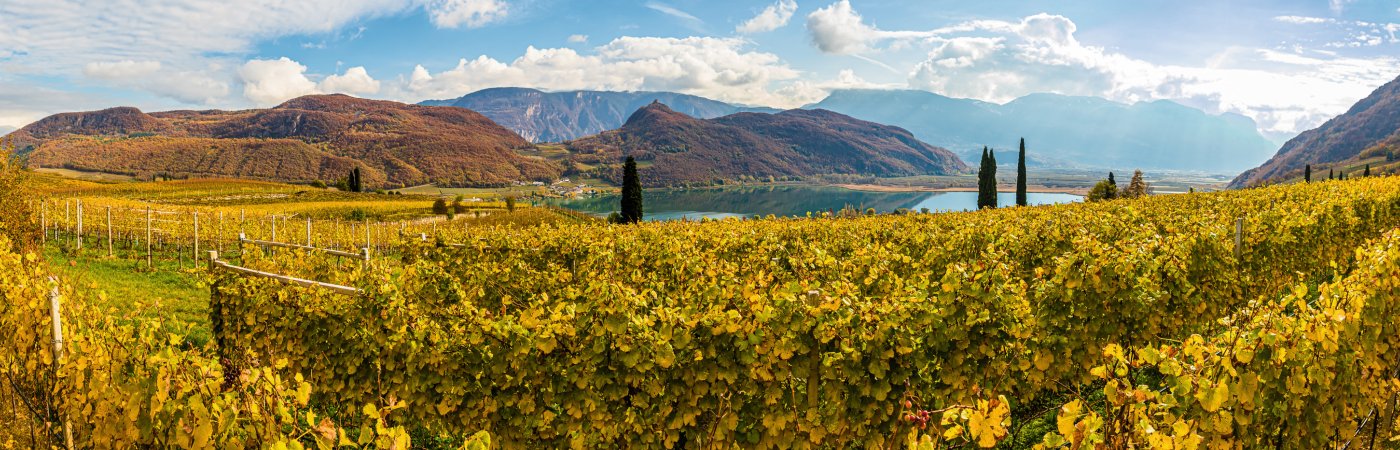 Herbstlandschaft am Kalterer See